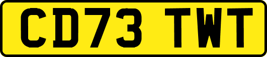 CD73TWT