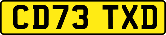 CD73TXD