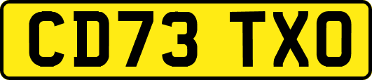 CD73TXO