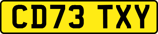 CD73TXY