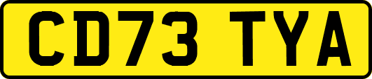 CD73TYA