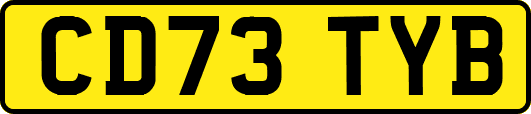 CD73TYB