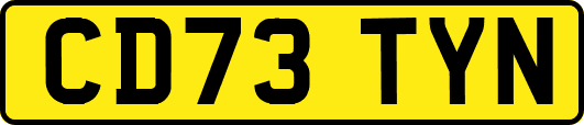 CD73TYN