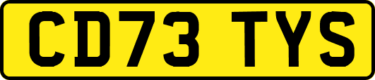 CD73TYS
