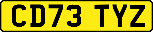 CD73TYZ