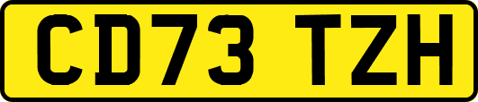 CD73TZH
