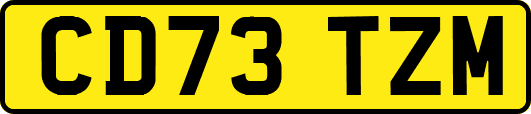 CD73TZM