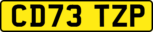 CD73TZP