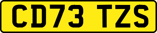 CD73TZS