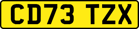 CD73TZX