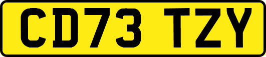 CD73TZY