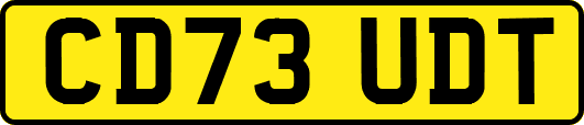CD73UDT