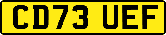 CD73UEF