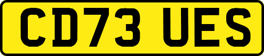 CD73UES