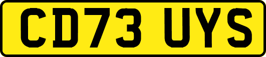 CD73UYS