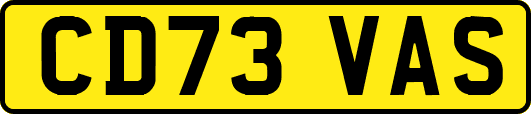 CD73VAS