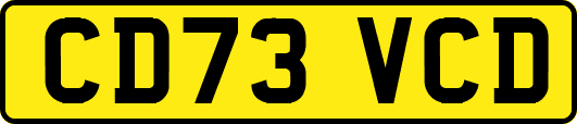 CD73VCD