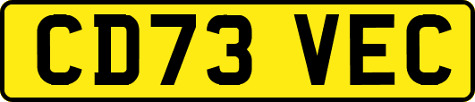 CD73VEC