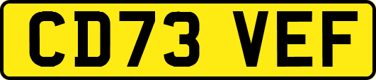 CD73VEF