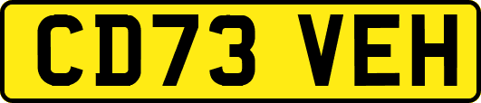 CD73VEH