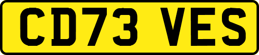 CD73VES