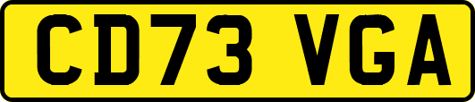 CD73VGA