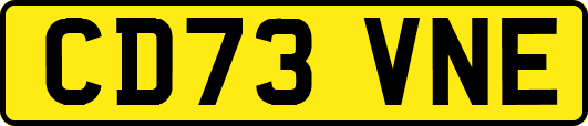 CD73VNE