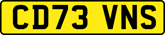CD73VNS