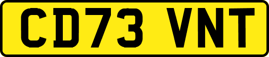CD73VNT