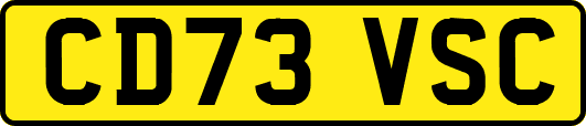 CD73VSC