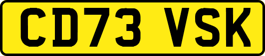 CD73VSK
