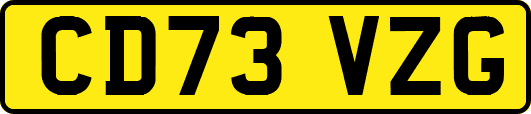 CD73VZG