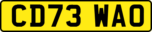 CD73WAO