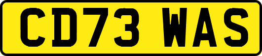 CD73WAS