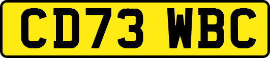 CD73WBC
