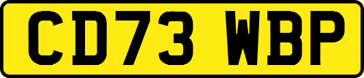 CD73WBP
