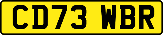 CD73WBR