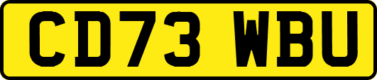 CD73WBU