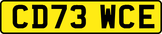 CD73WCE