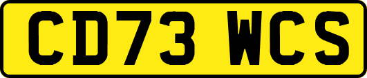CD73WCS