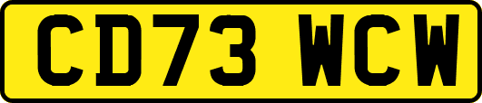 CD73WCW