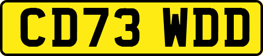 CD73WDD