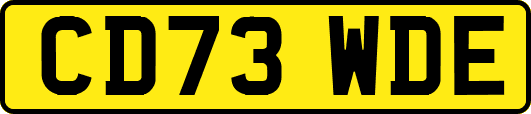 CD73WDE