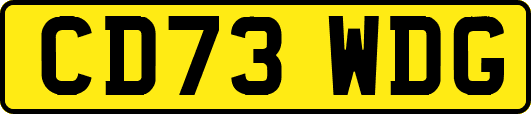 CD73WDG
