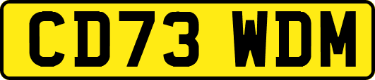 CD73WDM