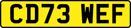 CD73WEF