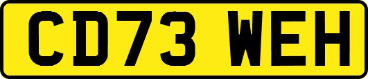 CD73WEH