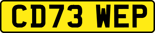 CD73WEP