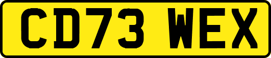 CD73WEX