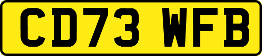 CD73WFB
